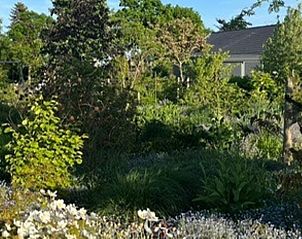 Guest house 674202 - Holiday property Groene hart - Vakantiehuisje in Noorden