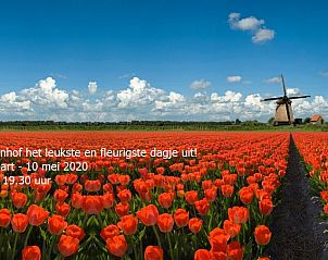 Verblijf 6801291 - Chalet Noordzeekust - Duinparel 126