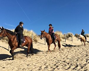 Verblijf 6801294 - Chalet Noordzeekust - Boerderij Puik en Duin Noordwijk 