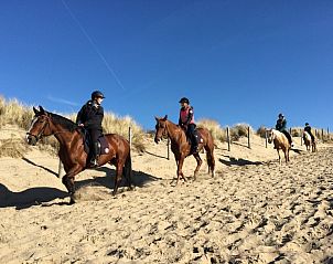 Verblijf 682129 - Vakantiewoning Noordzeekust - Vakantiehuis nr 23 Bungalowpark Puik en Duin