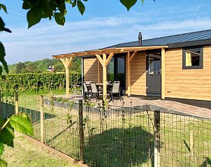 Rustige omgeving van Nieuw Vakantiehuis Puik en Duin 5a in Noordwijk aan zee, vakantiehuis met uitzicht op de natuur van Zuid-Holland.