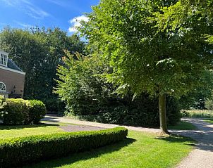 Voortuin van Vakantiehuis in Voorschoten, met weelderige begroeiing en zonlicht.