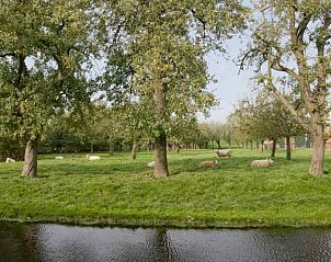 Eetkamer in ZH044 vakantiehuis Ouderkerk-aan-den-IJssel met uitzicht op terras.