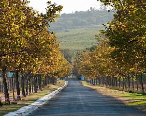Verblijf 7027203 - Appartement West-Kaap - Saxenburg Wine Farm