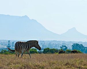 Verblijf 7027203 - Appartement West-Kaap - Saxenburg Wine Farm