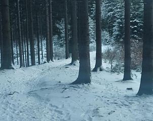 Verblijf 7316211 - Vakantiewoning Bohemen - Penzion Bazalka