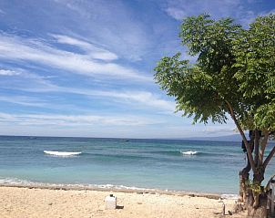 Verblijf 7530136 • Vakantie appartement Nusa Tenggara (Bali/Lombok) • Love Shack Shangri-la Gili Meno 