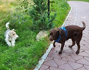 Verblijf 9103305 - Vakantie appartement Beieren - Wellness Resort Romantika