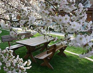 Guest house 9111501 - Apartment Steiermark - Hotel Locker & Legere