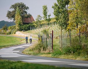 Guest house 9111501 - Apartment Steiermark - Hotel Locker & Legere