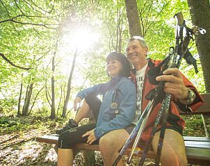 Guest house 9111501 - Apartment Steiermark - Hotel Locker & Legere