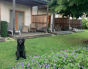 Guest house 9111502 - Apartment Steiermark - Garten-Hotel Ochensberger