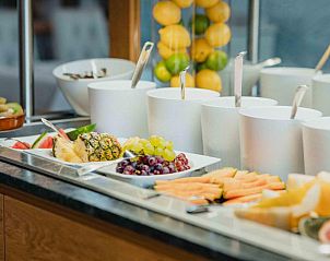 Guest house 9111502 - Apartment Steiermark - Garten-Hotel Ochensberger