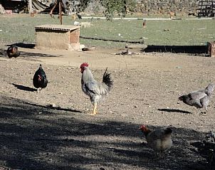 Verblijf 9115702 - Vakantiewoning Extremadura - Casa Rural Sierra San Mamede