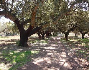 Verblijf 9115702 - Vakantiewoning Extremadura - Casa Rural Sierra San Mamede