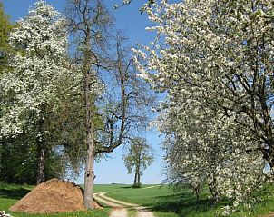 Verblijf 9303301 - Appartement Beieren - Ferienhof Rieger