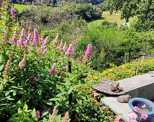 Ontdek de levendige bloemenpracht bij vakantiehuis Zonneheuvel in Daun, Eifel, met uitzicht op de weelderige natuur.
